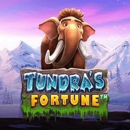 Tundra's Fortune